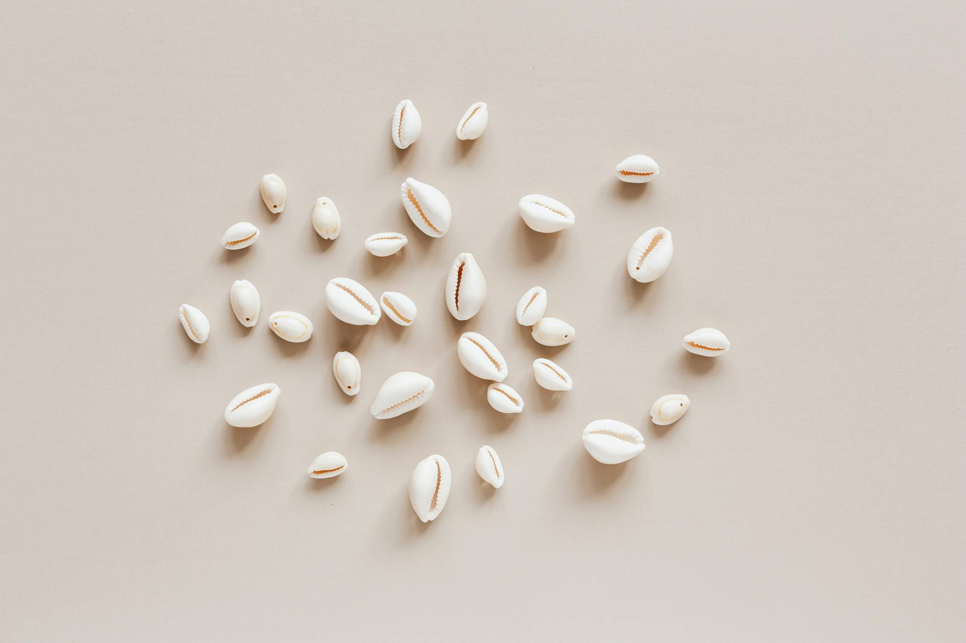 scattered various seashells on beige background